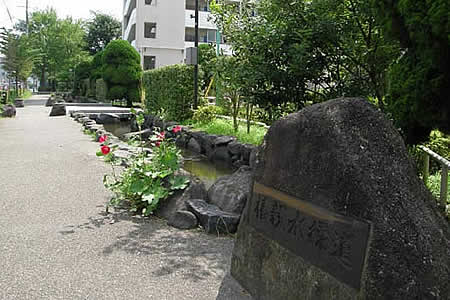 写真　椿親水緑道