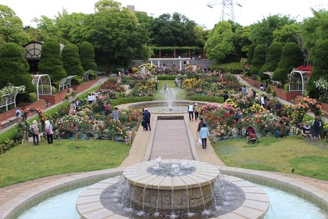 総合レクリエーション公園フラワーガーデン