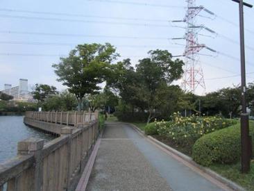 新左近川親水公園1