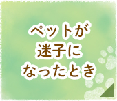 ペットが迷子になったとき